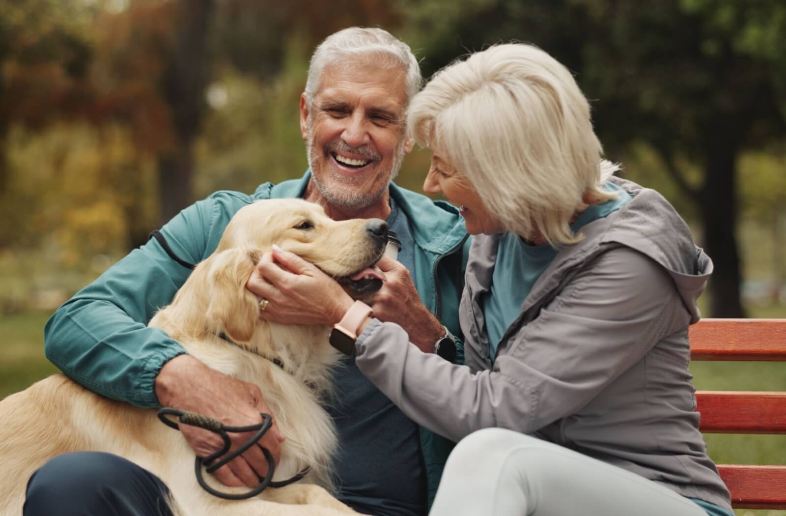 A smiling mature couple sits on a bench in a park, warmly petting a golden retriever, enjoying a moment of connection.